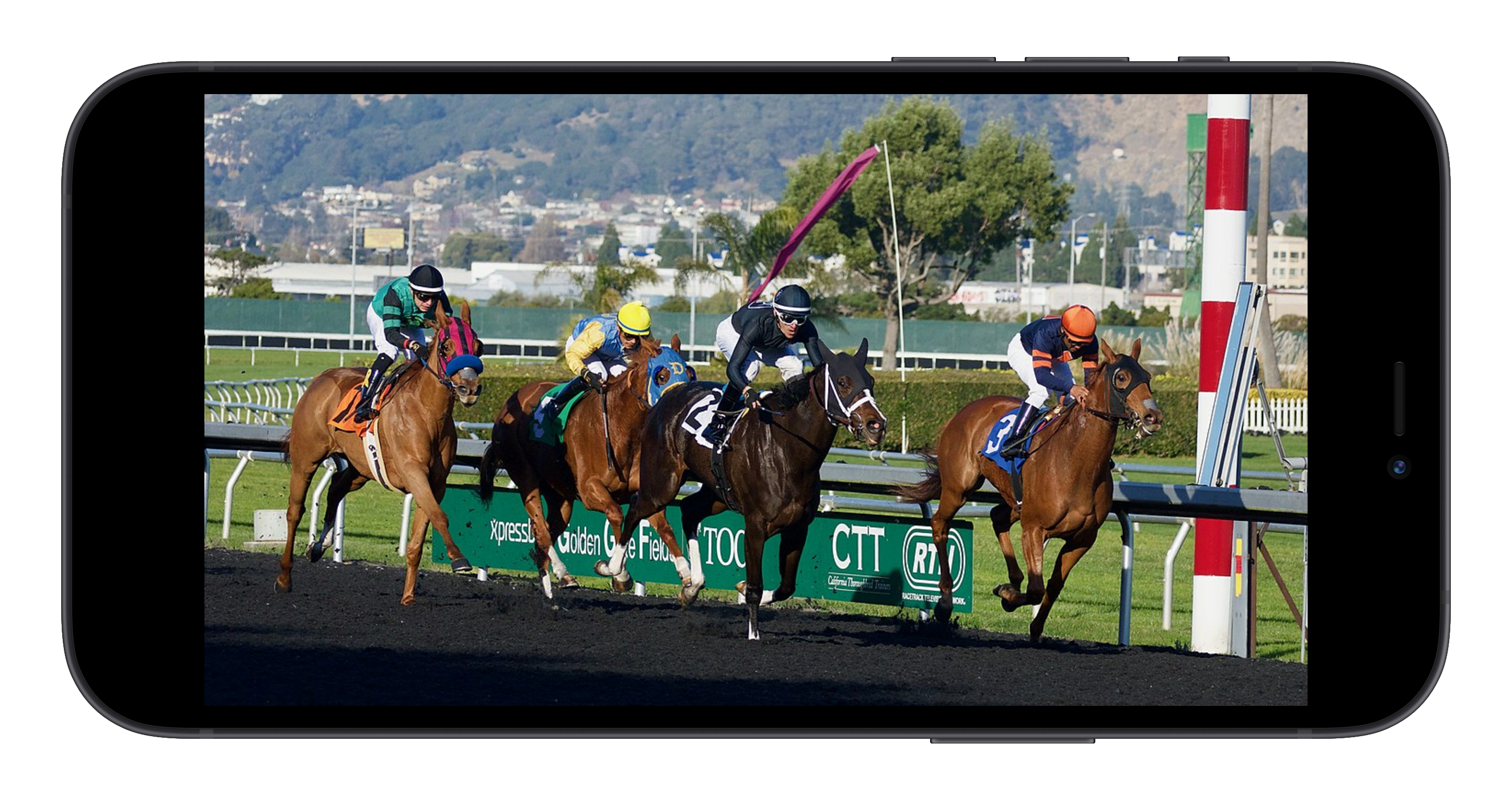 best horse racing betting apps