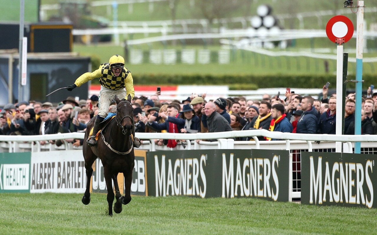 cheltenham festival